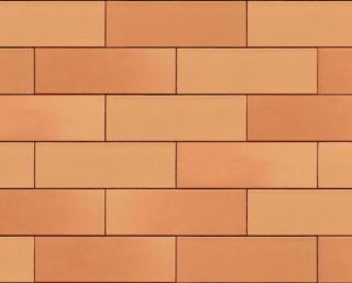 Placaj Ceramic Klinker Armis Sunset Red 215 x 65 x 9mm