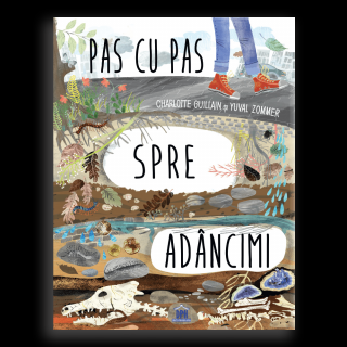 Pas cu pas spre adancimi