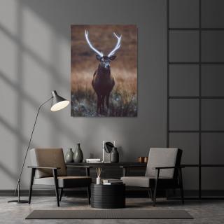 Glowing Horns Portrait