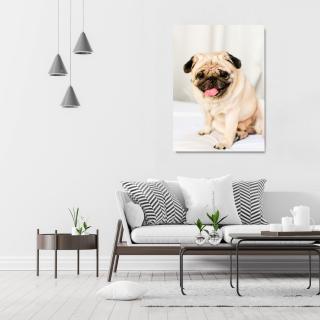 Happy Pug Portrait