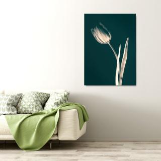 Tulip Green