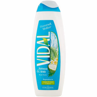 Vidal Bagno Coconut Water 500ml