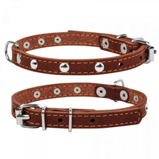 Collar, Zgarda XS, caini, din piele, 12mm latime, 24-32cm lungime, cu decor metalic, maro, 00236