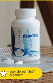 MagneZi B6 (90 tablete)