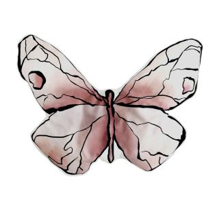 Perna - Butterfly