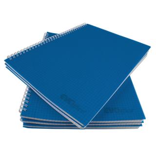 Caiet A4 cu spira metalica, microperforatii si coperti plastic, 100 file - matematica EVOffice