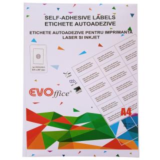 Etichete color auto. pt impr. A4 100 coli cutie - 1 A4 albastru