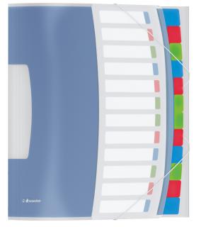 MAPA PLASTIC CU ELASTIC 12 COMPARTIMENTE VIVIDA ESSELTE