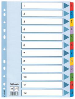 SEPARATOARE INDEX CARTON 1-12 MYLAR ESSELTE