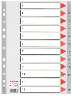 SEPARATOARE INDEX PLASTIC 1-12 ESSELTE