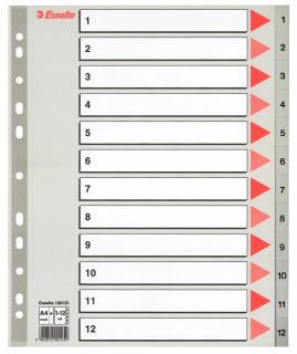 SEPARATOARE INDEX PLASTIC 1-12 MAXI ESSELTE