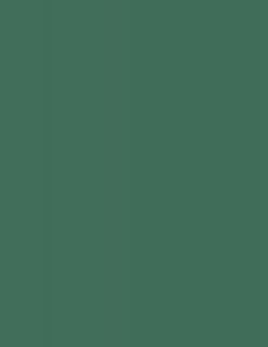 Colorama fundal foto verde Spurce Green 2,72 x 11m