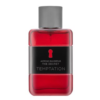 Antonio Banderas The Secret Temptation Eau de Toilette bărbați 50 ml