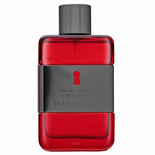 Antonio Banderas The Secret Temptation Eau de Toilette pentru bărbați 100 ml