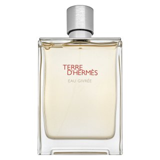 Hermès Terre d’Hermès Eau Givrée - Refillable Eau de Parfum bărbați 175 ml