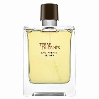Hermes Terre D'Hermes Eau Intense Vetiver Eau de Parfum pentru bărbați 100 ml