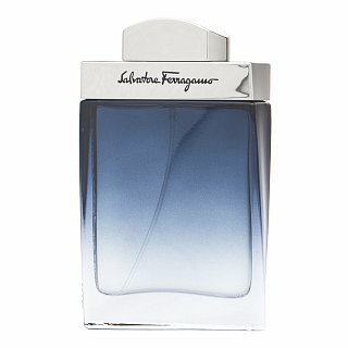 Salvatore Ferragamo Subtil Pour Homme eau de Toilette pentru barbati 50 ml