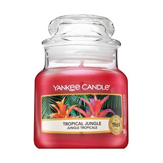 Yankee Candle Tropical Jungle lumânare votiv 104 g