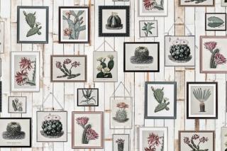 Tapet R15322-Cactus Wall Art