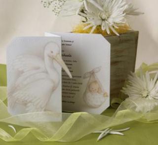 INVITATII DE BOTEZ Elegante 31.005.00220