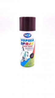 Spray Vopsea Auto Color X