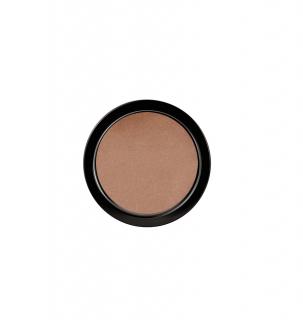 Pudra compacta cu efect de iluminare, Shimmer Pressed Powder pentru fata si gat 04, 9g