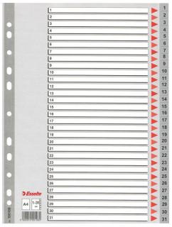 SEPARATOARE INDEX PLASTIC 1-31 ESSELTE