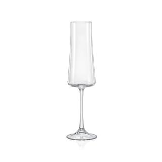XTRA - Set 6 pahare sticla cristalina sampanie 210 ml