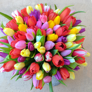 Buchet cu 99 Lalele Multicolore