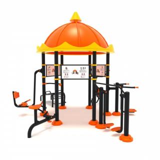 16FT Set de fitness pentru exterior cu panou 6 Aparate