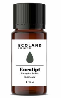 Ulei esential de EUCALIPT - chemotip radiata - 10 ml