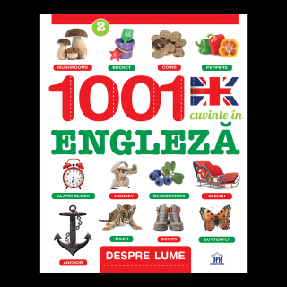 1001 Cuvinte in Engleza - Despre lume, DPH, 8-9 ani +