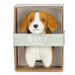 Catelus Beagle Bebelus 17 cm in cutie - Jucarie de plus Living Nature