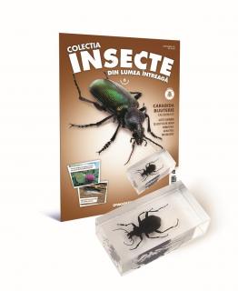 Colectia Insecte din lumea ȋntreaga - Nr. 06: Carabida bijuterie, DeAgostini, 6-7 ani +