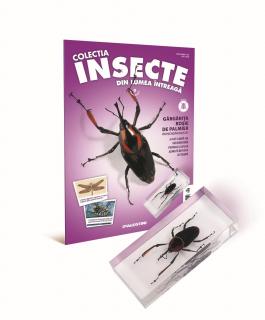 Colectia Insecte din lumea ȋntreaga - Nr. 09: Gargarita rosie de palmier