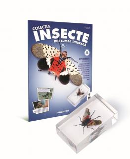 Colectia Insecte din lumea ȋntreaga - Nr. 12: Lycorma, DeAgostini, 6-7 ani +