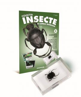 Colectia Insecte din lumea ȋntreaga - Nr. 13: Scarabeul Sisif, DeAgostini, 6-7 ani +