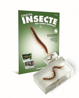 Colectia Insecte din lumea ȋntreaga - Nr. 14: Scolopendra, DeAgostini, 6-7 ani +