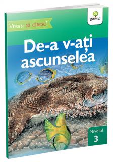 De-a v-ati ascunselea ,   nivelul 3