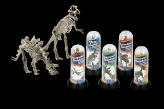 Joc educativ Paleontologie, Schelet de dinozaur 3D de 18 cm, diverse modele, Magnoidz, +6 ani