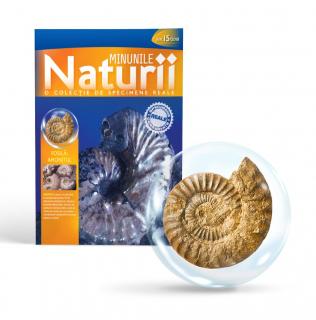 MINUNILE NATURII VOL.15 - AMONIT