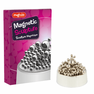 Set creativ - Sculptura magnetica, Magnoidz, 6 ani +