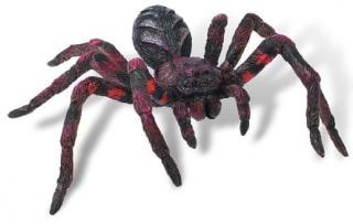 Wolf Spider, Bullyland, 2-3 ani +