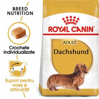 1.5 kg Royal Canin Dachshund Adult hrana uscata caine Teckel