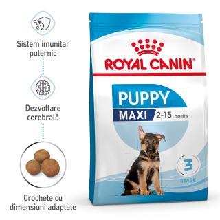 10kg Royal Canin Maxi Puppy hrana uscata caine junior