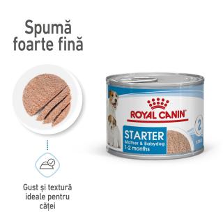 12 x 195g Royal Canin Starter Mousse gestatie  lactatie pui hrana umeda caine