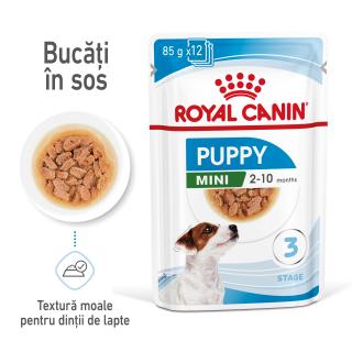 12 x 85g Royal Canin Mini Puppy hrana umeda caine junior