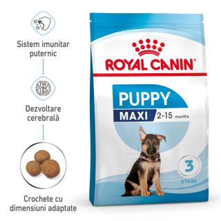 1kg Royal Canin Maxi Puppy hrana uscata caine junior