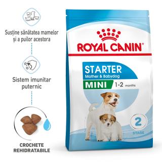 1kg Royal Canin Mini Starter Mother  Babydog gestatie  lactatie pui hrana uscata caine