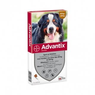 Advantix 40-60 kg - pipeta externa antipurici si anticapuse pentru caini